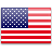 Team USA flag